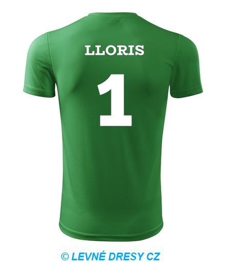 Dětský fotbalový dres Lloris